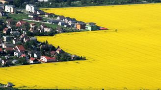 Evropská komise překvapila. Babiš a další velkozemědělci zřejmě o dotace nepřijdou