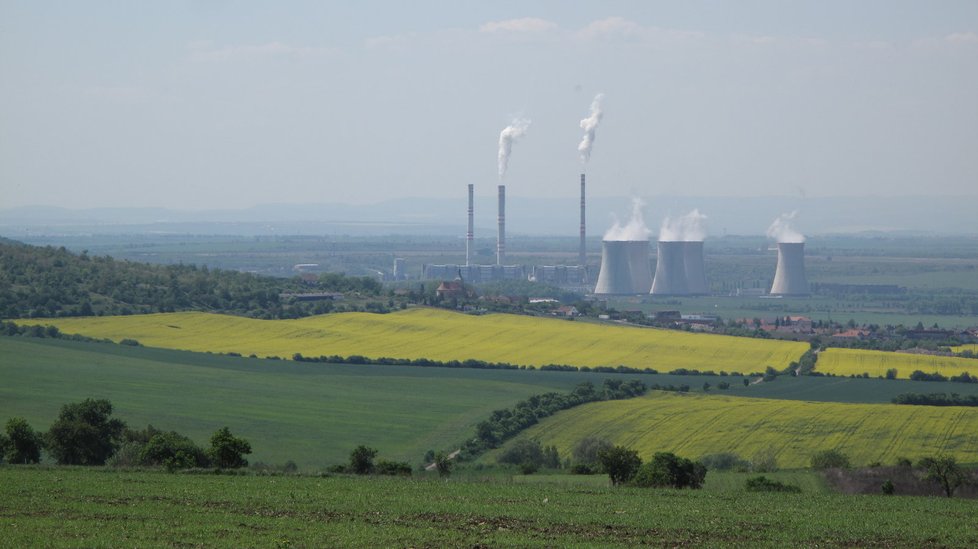 Jednou z nejvýznamnějších „energetických plodin“ je nepopulární řepka.