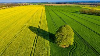 Nechte být řepku, vsaďte na potraviny, nabádá EU farmáře. Brusel se snaží vyhnout nedostatku