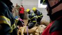 S koněm můžou hasiči kvůli bezpečnosti manipulovat až po „uspání“ veterinářem S koněm můžou hasiči kvůli bezpečnosti manipulovat až po „uspání“ veterinářem