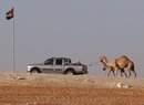 Jak se jezdí ve Spojených arabských emirátech: Benzinové orgie