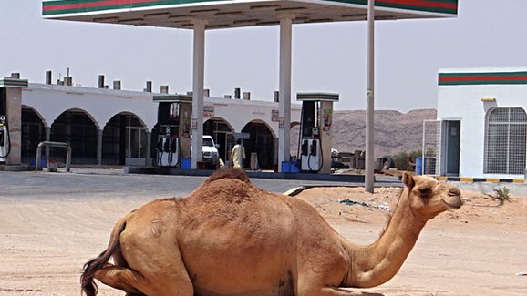 Reportáž: V Ománu se jezdí jako v ráji