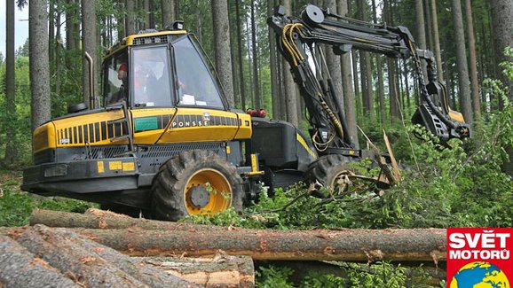 Jak se těží dřevo: Práce s vůní smůly