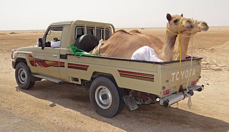 Kromě Hiluxu v Ománu potkáte i pick-up odvozený od staršího Land Cruiseru.