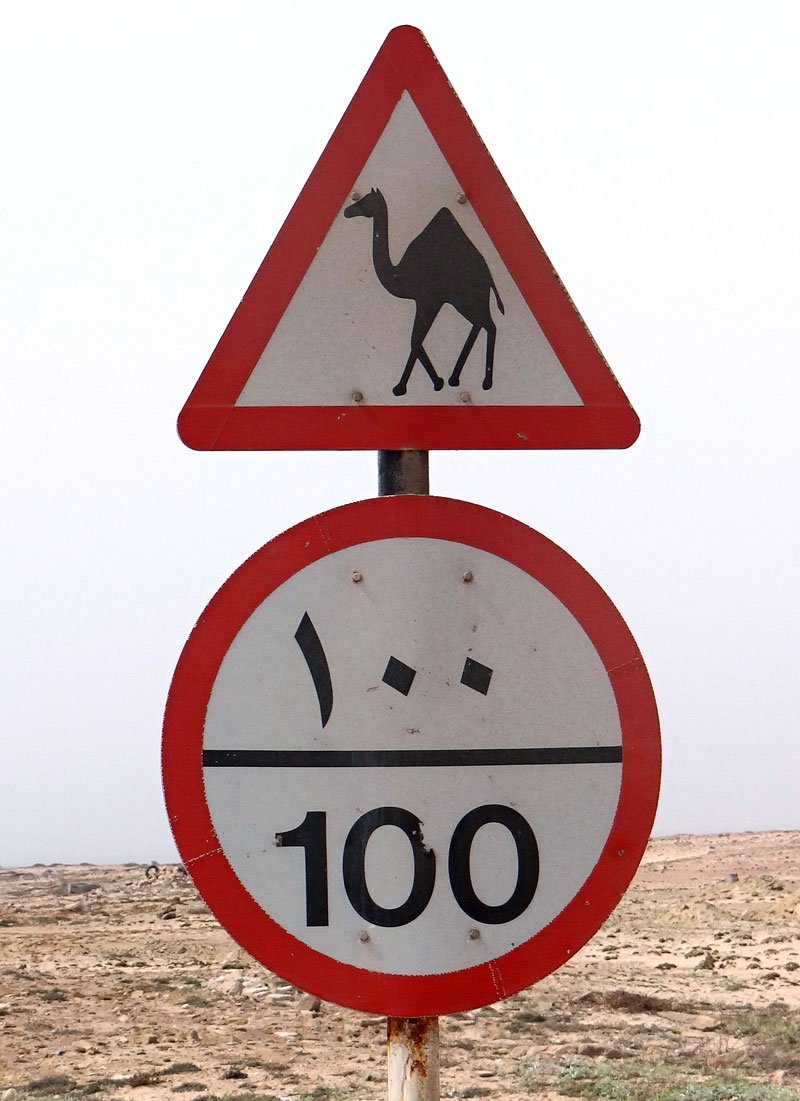 Upozornění na velbloudy a písečné duny jsme na silnici viděli poprvé.