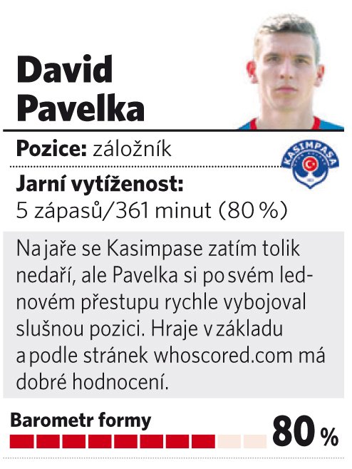 David Pavelka