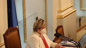 Jednání Sněmovny o novele pandemického zákona: Poslanci vesměs dodržovali protiepidemická opatření, místy ale odložili respirátor (2.2.2022)