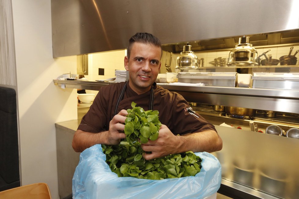 Restaurace Field získala michelinskou hvězdu. Spolumajitelem je šéfkuchař Radek Kašpárek.