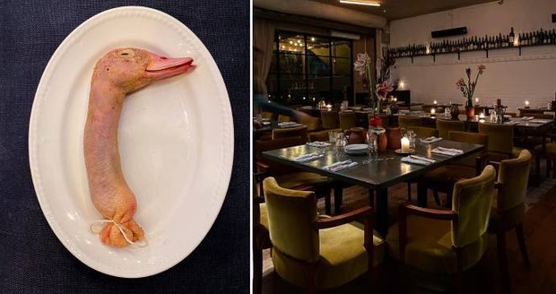 Londýnská restaurace Weterns Laundry šokovala své zákazníky tím, že na menu přidala plněný kachní krk servírovaný i s kachní hlavou.