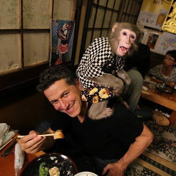 Japonská restaurace s opičkami