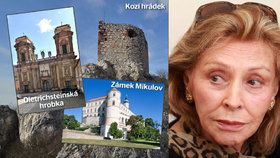 Princezna Mercedes Dietrichsteinová chtěla vrátit do rodinného majetku Zámek Mikulov, Kozí hrádek, několik dalších domů v Mikulově a zhruba 200 pozemků. Naděje jí zůstala jen u rodinné hrobky.