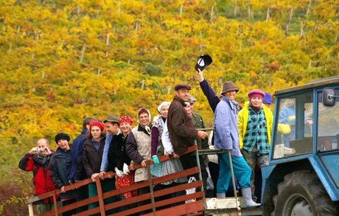 Vydejte se na 5 menších zajímavých vinobraní  na Moravě i v Čechách 