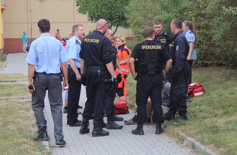 Muže zpacifikovali policisté.