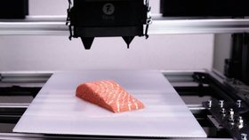 Rakouský start-up Revo Foods vytvořil 3D tištěnou náhražku steaku z lososa.