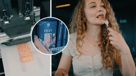 Rakouský start-up Revo Foods vytvořil 3D tištěnou náhražku steaku z lososa.