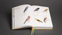 Texty o ptactvu jsou doprovozeny novými kresbami Jana Hoška, staršími ilustracemi Karla Svolinského i výběrem z obrázků Veleslava Wahla