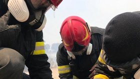 Záchrana zvířat po požárech na řeckých ostrovech (25. 7. 2023)