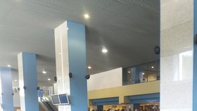 Češi čekali více jak 16 hodin na letišti