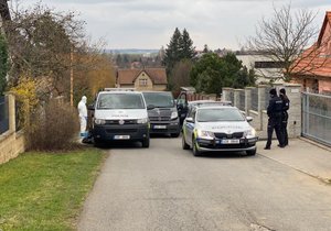 Do Říčan k náhlému úmrtí ženy vyjížděli policisté Středočeského kraje.