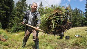 Správa Národního parku Šumava uspořádala 11. srpna na Modravě akci Den pro rašeliniště. Na snímku je ministr životního prostředí Richard Brabec.