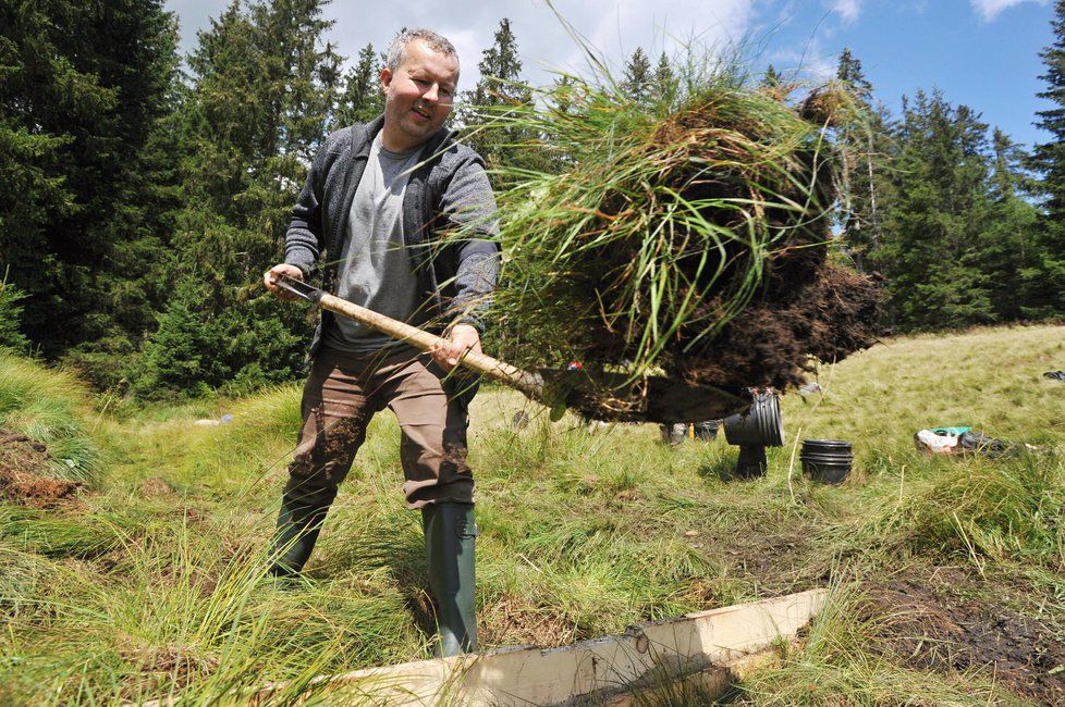 Správa Národního parku Šumava uspořádala 11. srpna na Modravě akci Den pro rašeliniště. Na snímku je ministr životního prostředí Richard Brabec.