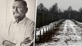 Spisovatel Richard Glazar přežil vyhlazovací tábor Treblinka: Po smrti manželky spáchal sebevraždu
