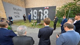 Pietní akt k uctění památky Poláka Ryszarda Siwiece, který se upálil na protest proti okupaci Československa vojsky Varšavské smlouvy v roce 1968.