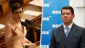 Sněmovní boj o místopředsedy: Projde Skopeček? Pirátka Richterová bez šance?