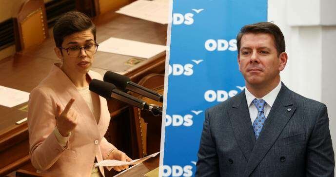 Sněmovní boj o místopředsedy: Projde Skopeček? Pirátka Richterová bez šance?