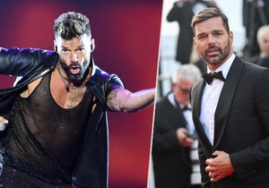 Ricky Martin měl udržovat vztah s vlastním synovcem.