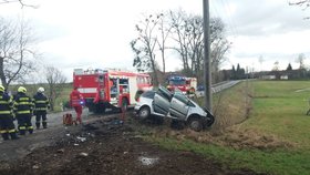 Řidič po nárazu do betonového sloupu u Lupenice zemřel.