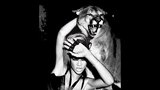 Sexy Rihanna vs. puma: Která z nás je větší kočka?