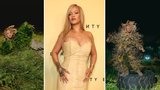 Rihanna v nové reklamě: Sexy hejkal?!