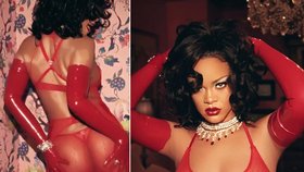 Rihanna dráždí všechny smysly: Sexy pózovačka v nestydatě průsvitném prádelku!