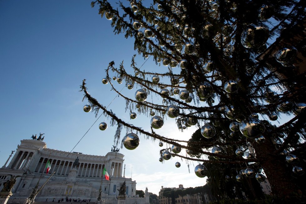 Vánoční strom v Římě, který způsobil těžkou hlavu úředníkům na tamní radnici a stal se terčem posměchu, protože z něj jehličí opadávalo už před svátky, možná čeká další kariéra.