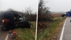 U Římovic na Benešovsku narazilo osobní auto do stromu, řidič nehodu nepřežil.