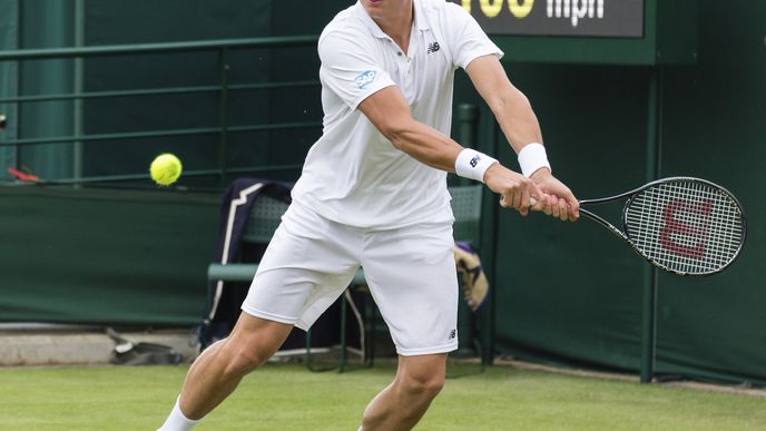 Svoji účast na tenisovém turnaji v rámci OH v Riu odřekl i letošní finalista Wimbledonu Milos Raonic.