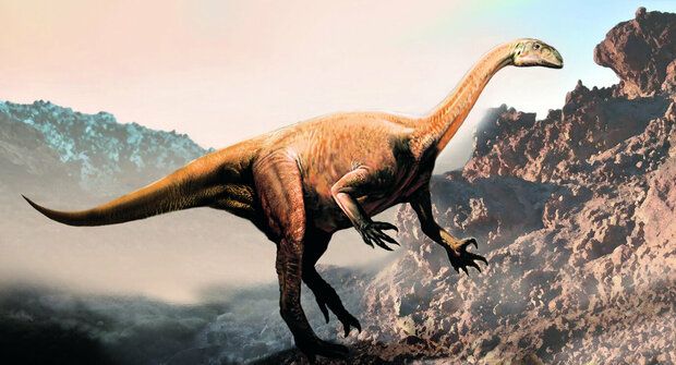 ABC dinosaurů: Riojasaurus, desetimetrový býložravec vážil tuny