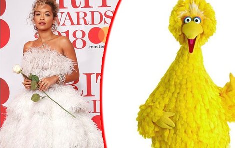 Rita Ora v načechraném péřovém modelu totiž vypadala jako pták Buk z dětského pořadu Sezamova ulice.