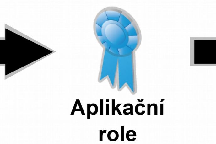 Řízení rolí Řízení rolí