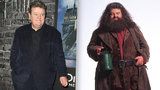 Hagrid z Harryho Pottera na vozíčku? Robbie Coltrane trpí kvůli nepříjemné nemoci!
