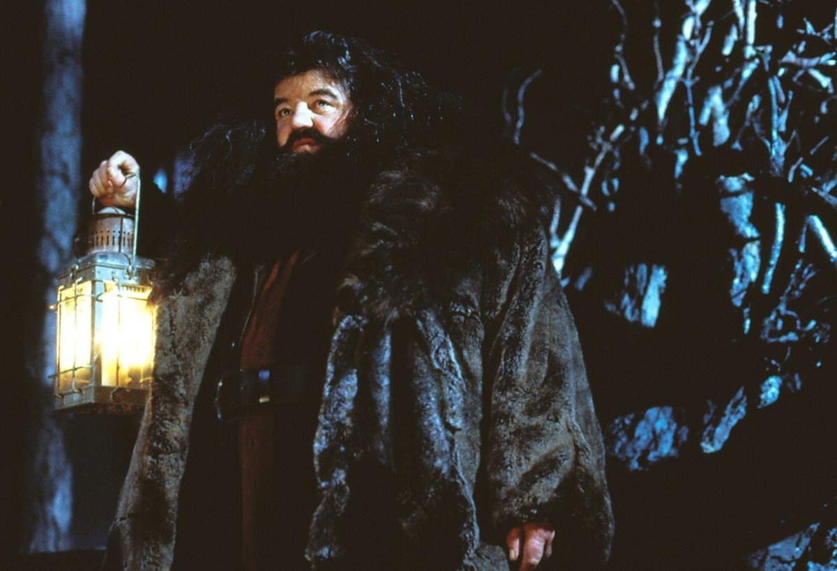 Robbie Coltrane  jako Hagrid v Harry Potterovi