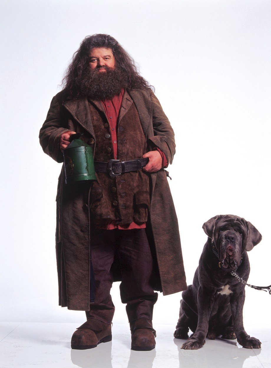 Hagrid a jeho bázlivý pes Tesák