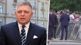 VIDEO: Chaos, výkřiky, zděšení lidé. Nové záběry z atentátu na slovenského premiéra Fica