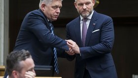 Slovenský premiér Robert Fico a šéf parlamentu Peter Pellegrini
