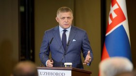 Slovenský premiér Robert Fico
