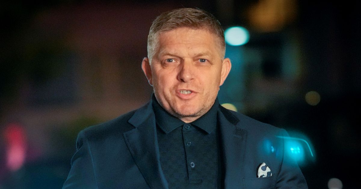 Robert Strach Experti o slovenských volbách: Strach z Fica? Česko se (zatím) bát ...