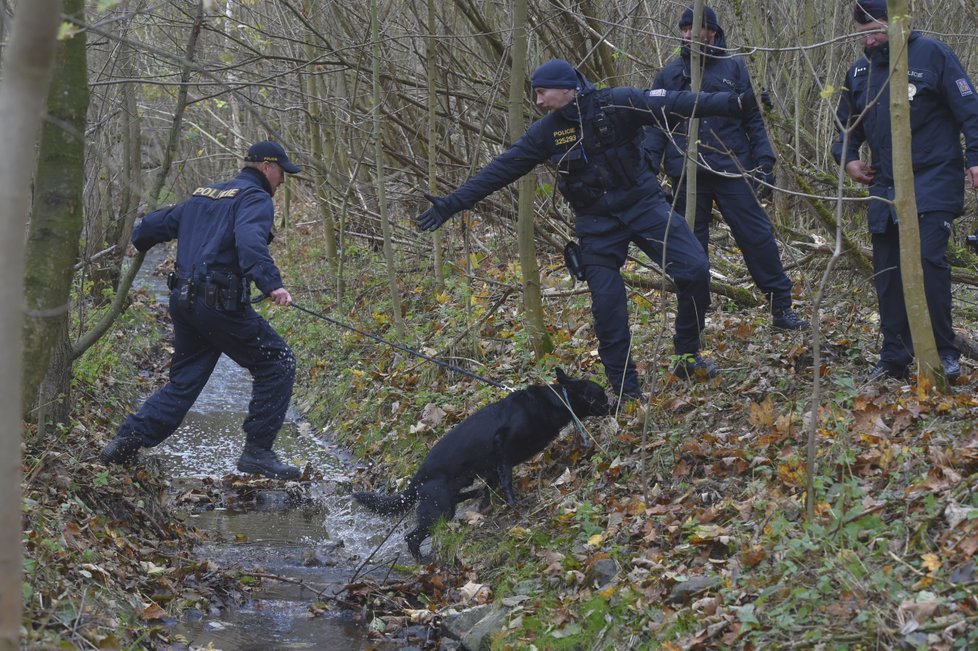 Ztraceného chlapce hledaly desítky policistů i dobrovolníků.