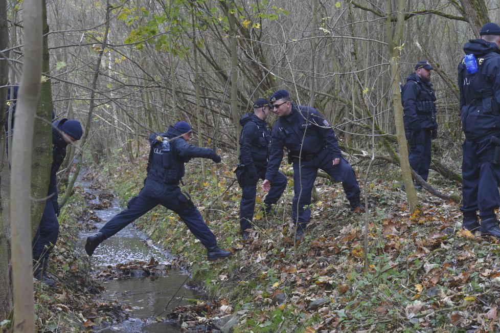 Ztraceného chlapce hledaly desítky policistů i dobrovolníků.