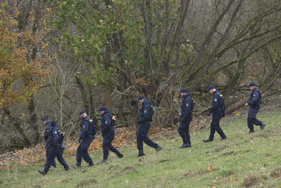 Ztraceného chlapce hledaly desítky policistů i dobrovolníků.